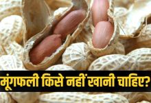 Photo of फायदे ही नहीं, नुकसान भी पहुंचा सकती है मूंगफली