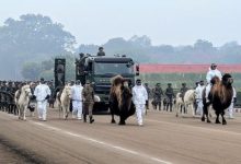 Photo of गणतंत्र दिवस 2026: कर्तव्य पथ पर पहली बार दिखेगा सेना का पशु दस्ता