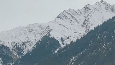 Photo of पहाड़ों में पाला…मैदान में शीतलहर बढ़ा रही ठंड, जानें कबसे हैं बारिश-बर्फबारी के आसार