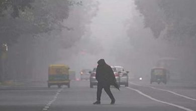 Photo of  हरियाणा में ठंड का सितम जारी,  4 जिलों में कोहरे का यलो अलर्ट…