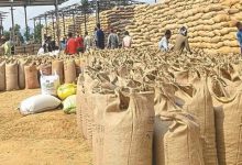 Photo of मध्य प्रदेश में धान खरीदी में सामने आया महाघोटाला