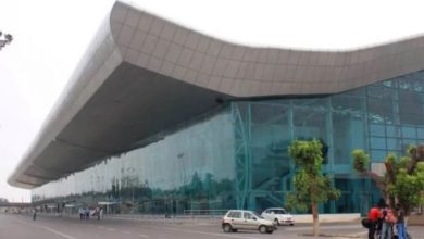 Photo of अमृतसर एयरपोर्ट पर वन्यजीव तस्करी का मामला उजागर