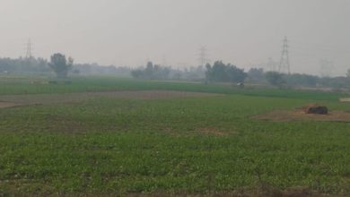 Photo of यूपी: उन्नाव बनेगा डिफेंस हब…इंडस्ट्रियल कॉरिडोर को मिली मंजूरी