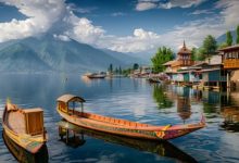 Photo of  डल झील की दीवारों को खोखला कर रहे हैं चूहे… हादसे का खतरा