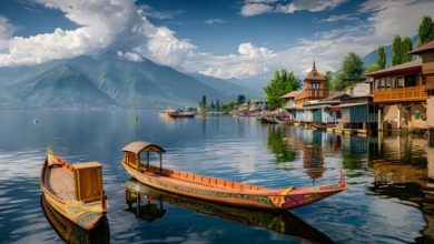 Photo of  डल झील की दीवारों को खोखला कर रहे हैं चूहे… हादसे का खतरा