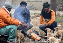 Photo of कड़ाके की ठंड ने दिल्ली-यूपी को जकड़ा, पंजाब-राजस्थान में शीत लहर का अटैक