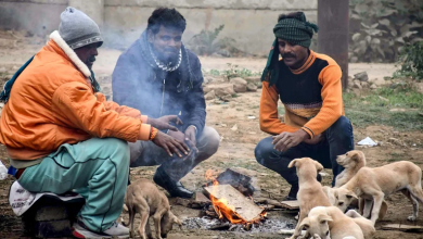 Photo of कड़ाके की ठंड ने दिल्ली-यूपी को जकड़ा, पंजाब-राजस्थान में शीत लहर का अटैक
