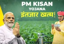 Photo of  पीएम किसान योजना: बजट वाले दिन किसानों को मिलेगा तोहफा या लगेगा झटका