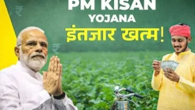 Photo of  पीएम किसान योजना: बजट वाले दिन किसानों को मिलेगा तोहफा या लगेगा झटका