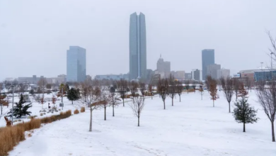 Photo of अमेरिका में भयानक बर्फीले तूफान से बिजली गुल, कई राज्यों में इमरजेंसी