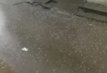 Photo of पंजाब में बारिश: लगातार दो पश्चिमी विक्षोभ से मौसम बदला, पटियाला में गिरे ओले