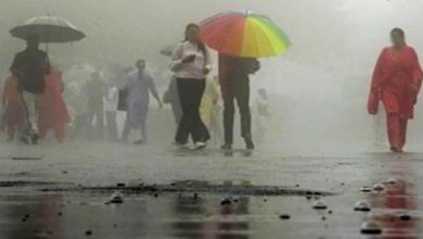 Photo of हरियाणा में इस दिन फिर बारिश की संभावना, बढ़ेगी ठंड