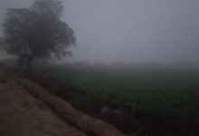 Photo of हरियाणा में कोहरे संग कड़ाके की ठंड, सोनीपत 0.4 डिग्री पर लुढ़का पारा