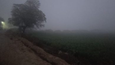 Photo of हरियाणा में कोहरे संग कड़ाके की ठंड, सोनीपत 0.4 डिग्री पर लुढ़का पारा