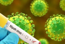 Photo of निपाह अलर्ट : कोलकाता के अलीपुर जू में चमगादड़ों के सैंपल की जांच शुरू