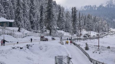 Photo of कश्मीर में कड़ाके की ठंड से थोड़ी राहत, चिले कलां के दौरान तापमान में सुधार