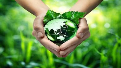 Photo of राजस्थान में ‘ग्रीन क्रेडिट’ नीति लागू; पर्यावरण संरक्षण निवेश पर नकद छूट