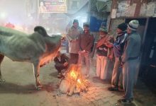 Photo of हरियाणा में आज से चलेंगी बर्फीली हवाएं: 31 जनवरी को होगा पश्चिमी विक्षोभ सक्रिय