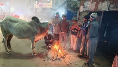 Photo of हरियाणा में आज से चलेंगी बर्फीली हवाएं: 31 जनवरी को होगा पश्चिमी विक्षोभ सक्रिय
