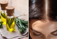 Photo of महंगे शैम्पू या सीरम नहीं, Rosemary के इस्तेमाल से होगा बालों का झड़ना कम
