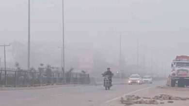 Photo of बारिश-बर्फबारी से राहत, अब कोहरा बढ़ाएगा ठंड, हरिद्वार और ऊधमसिंह नगर में यलो अलर्ट
