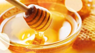 Photo of भारत का कौन-सा शहर कहलाता है ‘City of Honey’…