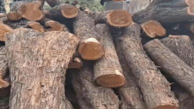 Photo of वन विभाग की टीम ने चलाया सर्च अभियान, 1 घर से बड़ी मात्रा में प्रतिबंधित खैर की लकड़ी बरामद