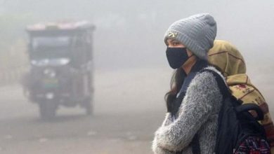 Photo of हरियाणा में ठंड का कहर जारी, आज भी शीतलहर का अलर्ट, खेतों में जमने लगा पाला…