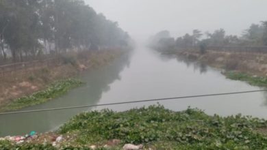 Photo of अब दक्षिणी हरियाणा तक एसवाईएल से पहुंचाया जाएगा 6500 क्यूसेक तक पानी