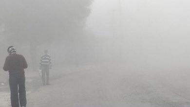 Photo of कोहरे का कहर; सड़क, रेल और हवाई यातायात तक जबरदस्त असर
