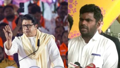 Photo of ‘मैं मुंबई आऊंगा, हिम्मत है तो मेरे पैर…’: राज ठाकरे के ‘रसमलाई’ वाले तंज पर भड़के अन्नामलाई