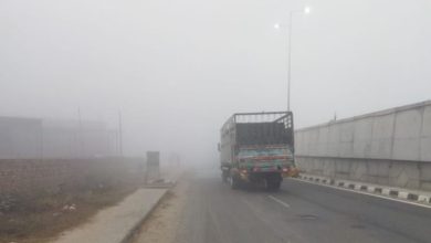Photo of पंजाब में 4.5 डिग्री तापमान: अबोहर में घनी धुंध… सड़क और रेल यातायात प्रभावित