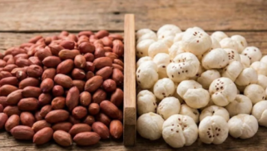 Photo of हेल्दी स्नैकिंग के लिए मूंगफली ज्यादा सही है या मखाना… किसे खाने से वजन घटाने में मिलेगी मदद?