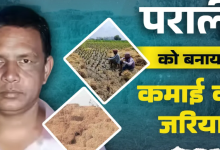 Photo of पराली से कमाई का अनोखा तरीका! छत्तीसगढ़ के किसान ने मशरूम उगाकर बदली तकदीर