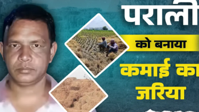 Photo of पराली से कमाई का अनोखा तरीका! छत्तीसगढ़ के किसान ने मशरूम उगाकर बदली तकदीर