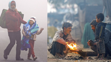 Photo of पंजाब में ठंड का प्रकोप: पारा 0.8 डिग्री पर पहुंचा, शीत लहर व घने कोहरे का ऑरेंज अलर्ट