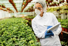 Photo of इन एग्जाम से चुनें फूड सेफ्टी की फील्ड में सुनहरा भविष्य