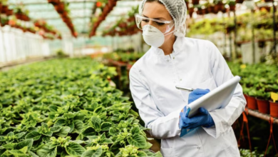 Photo of इन एग्जाम से चुनें फूड सेफ्टी की फील्ड में सुनहरा भविष्य