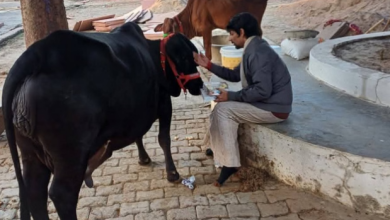 Photo of  संत और गो सेवा के लिए बेची 200 करोड़ की संपत्ति, स्वामी हरीश्वरानंद के प्रपौत्र ने बताया अनोखा किस्सा