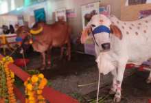 Photo of कृषक कल्याण वर्ष-2026 के शुभारंभ