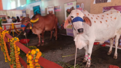 Photo of कृषक कल्याण वर्ष-2026 के शुभारंभ