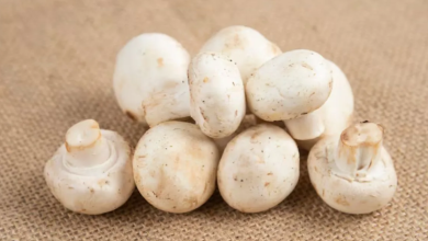 Photo of डायबिटीज और मोटापे के लिए वरदान है मिल्की मशरूम