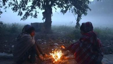 Photo of कड़ाके की ठंड से कांपा पूरा उत्तर भारत, राजस्थान-हरियाणा में शून्य से नीचे पहुंचा तापमान