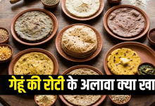 Photo of हड्डियों में दर्द हो या खून की कमी, हर मर्ज की दवा हैं 7 तरह की रोटियां
