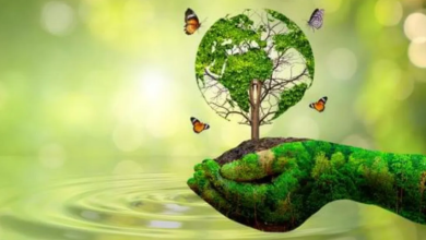 Photo of विमानन उत्सर्जन से पर्यावरण को खतरा