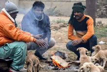 Photo of दिल्ली में 2026 का पहला शीत दिवस दर्ज, उत्तर भारत में कड़ाके की ठंड और कोहरा