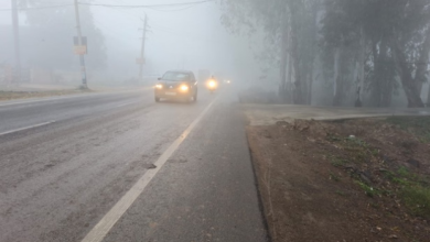 Photo of हरियाणा: दिन में शीत दिवस तो रात में शीतलहर की बनी स्थिति
