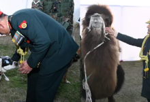 Photo of ऑक्सफोर्ड की चेतावनी: 2 डिग्री बढ़ा तापमान तो आधी दुनिया झेलेगी जानलेवा गर्मी