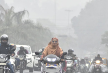 Photo of राजस्थान: गलनभरी ठंड का कहर जारी, 15 से ज्यादा जिले कोहरे की गिरफ्त में