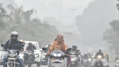 Photo of राजस्थान: गलनभरी ठंड का कहर जारी, 15 से ज्यादा जिले कोहरे की गिरफ्त में